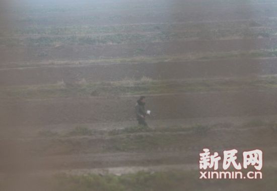 有人在东滩湿地附近投毒。上海市公安边防支队图 有人在东滩湿地附近投毒。上海市公安边防支队图