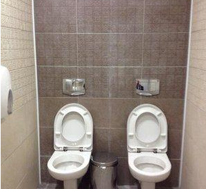 冬奥会现双厕桶 盘点全球各地奇葩厕所