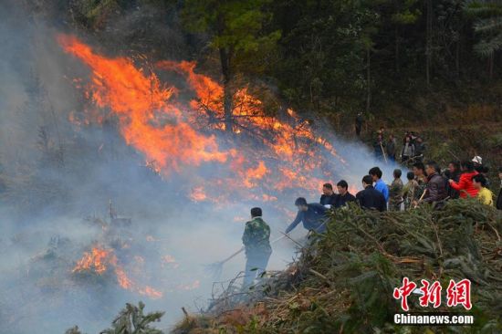 靖州县人口_靖州县开展世界人口日宣传活动(2)