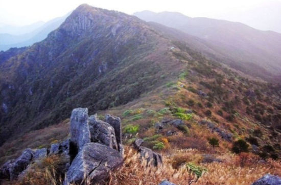 事发江西境内的武夷山脉独竖尖。网络资料图 事发江西境内的武夷山脉独竖尖。网络资料图