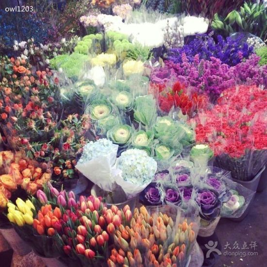 上海花鸟市场攻略 曹家渡花鸟市场等_沪上潮店