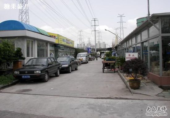 上海花鸟市场攻略 曹家渡花鸟市场等_沪上潮店