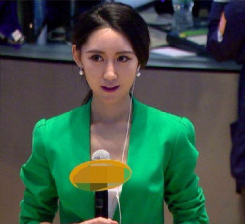 最<em>美女</em>记者走红 <em>气质</em>超群(图)_新浪上海_新浪网