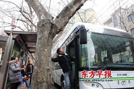 3月10日,巴士电车一分公司机务员王继平在新型电车试运行过程中查看站台附近的树木情况。 早报记者 张新燕 图 3月10日,巴士电车一分公司机务员王继平在新型电车试运行过程中查看站台附近的树木情况。 早报记者 张新燕 图