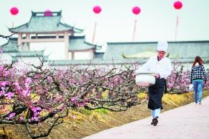 3月27日,滨海世外桃源,新开的小吃店设施仍不完善,靠农庄餐厅的厨师前去送午饭。早报记者 孙湛 图 3月27日,滨海世外桃源,新开的小吃店设施仍不完善,靠农庄餐厅的厨师前去送午饭。早报记者 孙湛 图