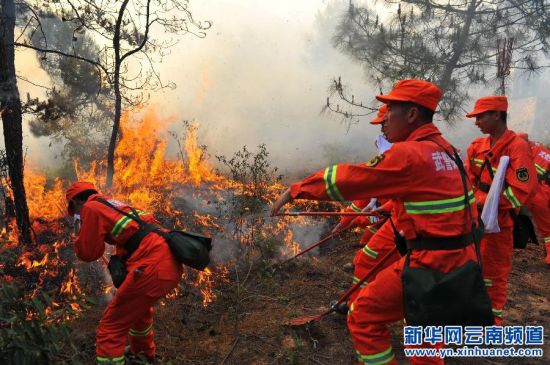 云南保山市人口_图表 云南保山地震12人受伤2万多间房屋倒塌受损(3)