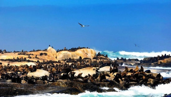 五一出境游好去处:南非