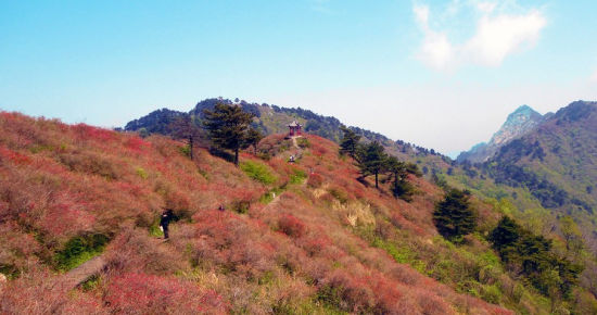 上海周边人少景美的清净度假胜地:台州蛇蟠岛
