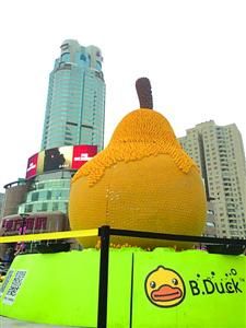□目前,“大鸭梨”损失近三分之二小黄鸭。/晨报记者 王亦菲 □目前,“大鸭梨”损失近三分之二小黄鸭。/晨报记者 王亦菲