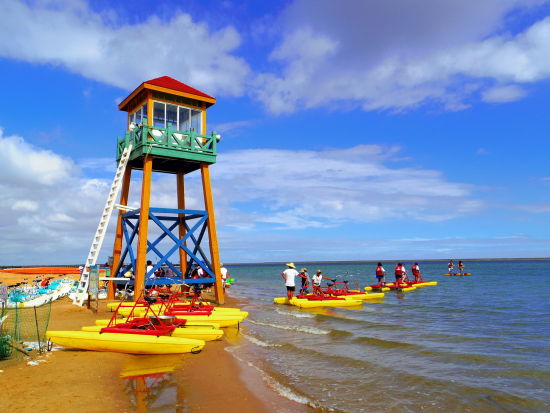 漫步碧海金沙 带着微博去奉贤二日游