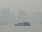 上海出现夏日罕见的大雾天气 能见度小于500米