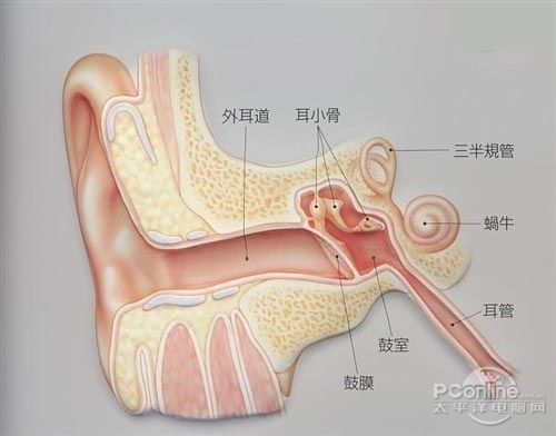 阴唇很<em>少</em>对称_两性地带_新浪上海