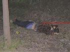 男子交通肇事后弃车 附近树林藏匿尸体