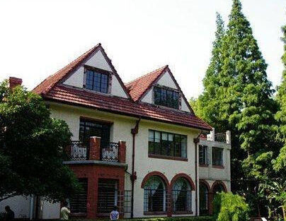 沪上适合看落叶景观的小马路 余庆路