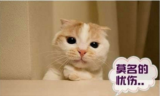 周一综合症怎么破 5招让你工作充满正能量_养生保健_新浪上海