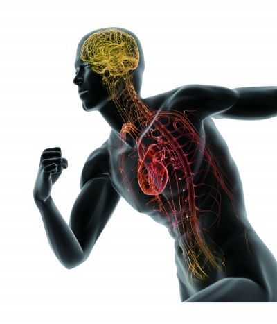 马拉松终点前是最危险时刻 特种兵倒下_医疗新