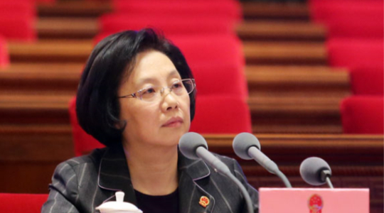 殷一璀主持上海市第十四届人大三次会议预备会