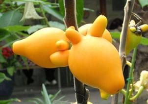 点击图片进入下一页