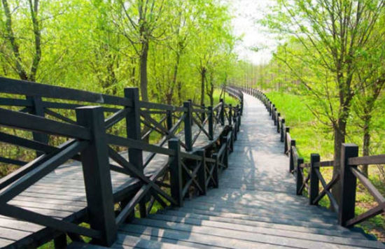 足不出沪告别穹顶 盘点上海五处清肺好去处