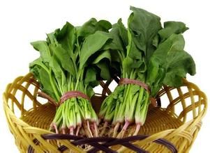 菠菜根应多洗几次去除草酸
