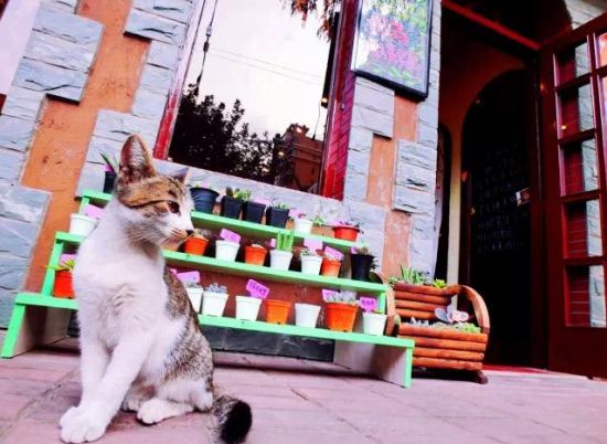 用三天时间遇见有腔调的最美上海 大学路_新浪旅游_新浪网