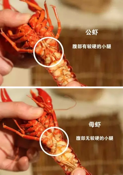 如何正确吃小龙虾(图)