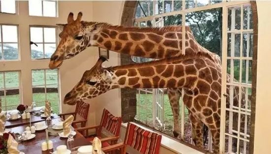 女性出游最好避开十大危险国家 摩洛哥_热门旅