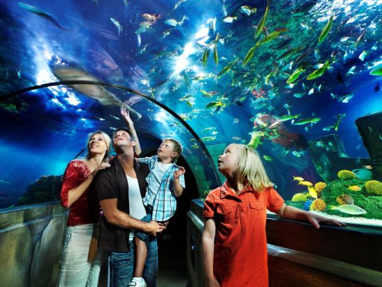 蓬莱海底世界现在门票多少钱,有什么途径可以优惠? 海底世界蓬莱门票