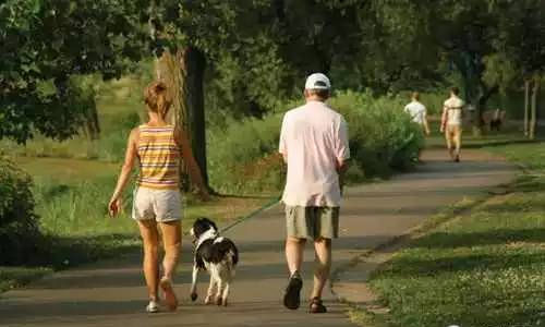 靠谱的饮食俗语搜罗:饭后百步走,活到九十九等