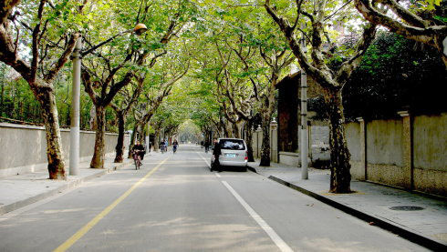 逛逛沪上10条不过一公里的小马路 进贤路