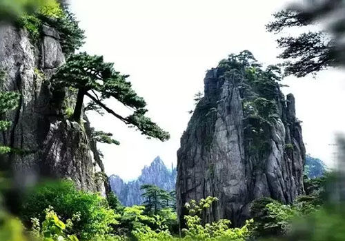 外媒评选中国最美的20个景点 你去过几个_热门旅游景点_新浪上海