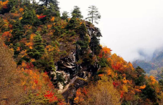 丹云峡 丹云峡 松潘县 丹云峡景区位于松潘县黄龙风景区东,起于