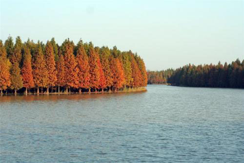 上海两新互动网