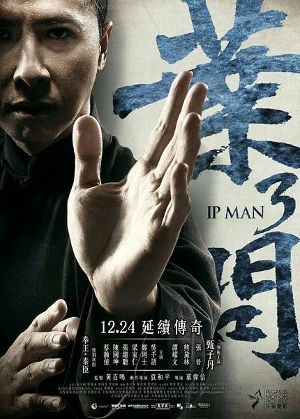 你最期待哪一部     《叶问3》   主演: 甄子丹 / 熊黛林 / 张晋