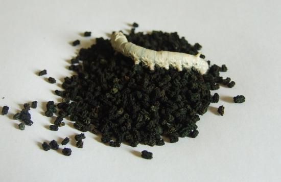 这7种食物都是动物的便便:蚕砂等_美食天下_新浪上海