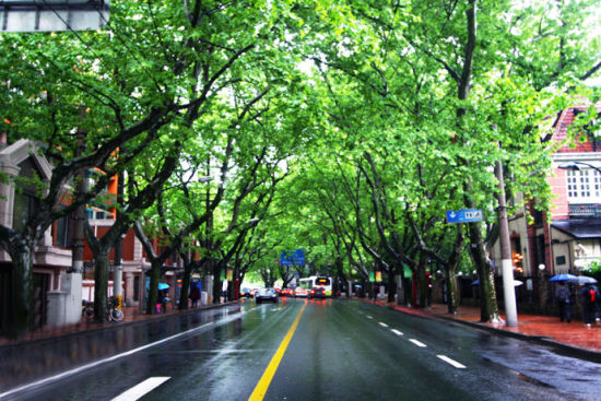 史上最全上海特色街道 多伦路