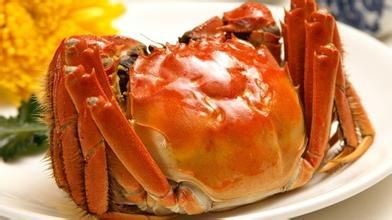 海鲜极品_“好”探店凌晨四点出海捕捞的极品海鲜来了!这家店简直太...