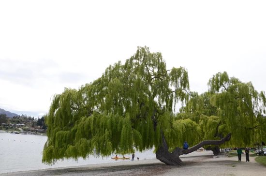 新西兰南岛环岛自驾游路线