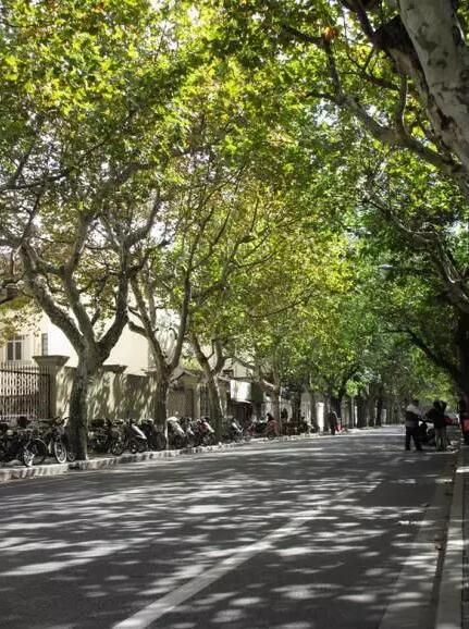 点沪上10大网红马路:大学路等_热门旅游景点_