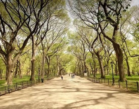 世界著名旅游景点卸妆照 纽约的中央公园等
