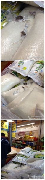 大润发超市米袋上爬4只老鼠 大润发超市米袋上爬4只老鼠