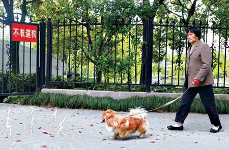 塘桥公园等不准遛狗 部分狗主人曲线入园(图)
