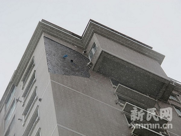 张杨路金露苑外墙面瓷砖被台风吹落 砸中4辆车