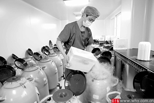 2.5万个无主试管 婴儿冷冻胚胎 待认领_新浪上海