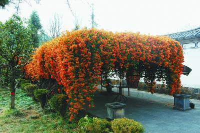 ���ͼƬ�����һҳ