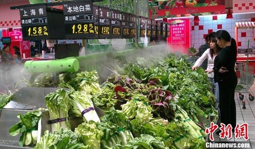 2012年12月经济数据公布 蔬菜猪肉及房价均上