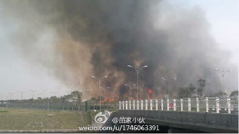 野炊用火不慎,引起火灾。新浪微博网友图 野炊用火不慎,引起火灾。新浪微博网友图
