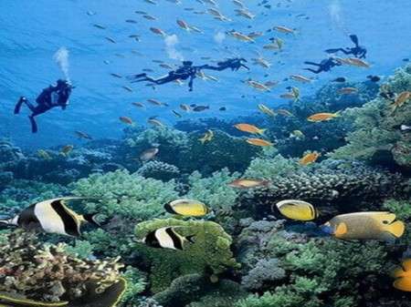 全球最适合浮潜的海岛:热浪岛、塞班岛_旅游风