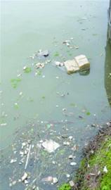 张家塘河道里随处可见垃圾 张家塘河道里随处可见垃圾
