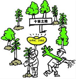 吴名遂 绘 吴名遂 绘